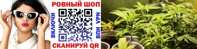 Где продают наркотики Выкса Гашиш  A PVP  Меф мяу мяу  ЭКСТАЗИ  COCAIN  Бошки Шишки 