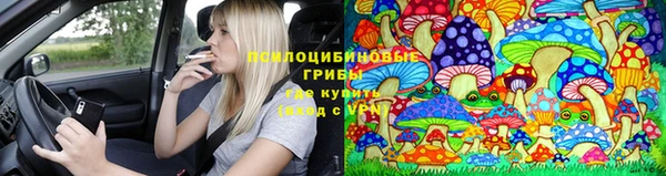 индика Алексеевка
