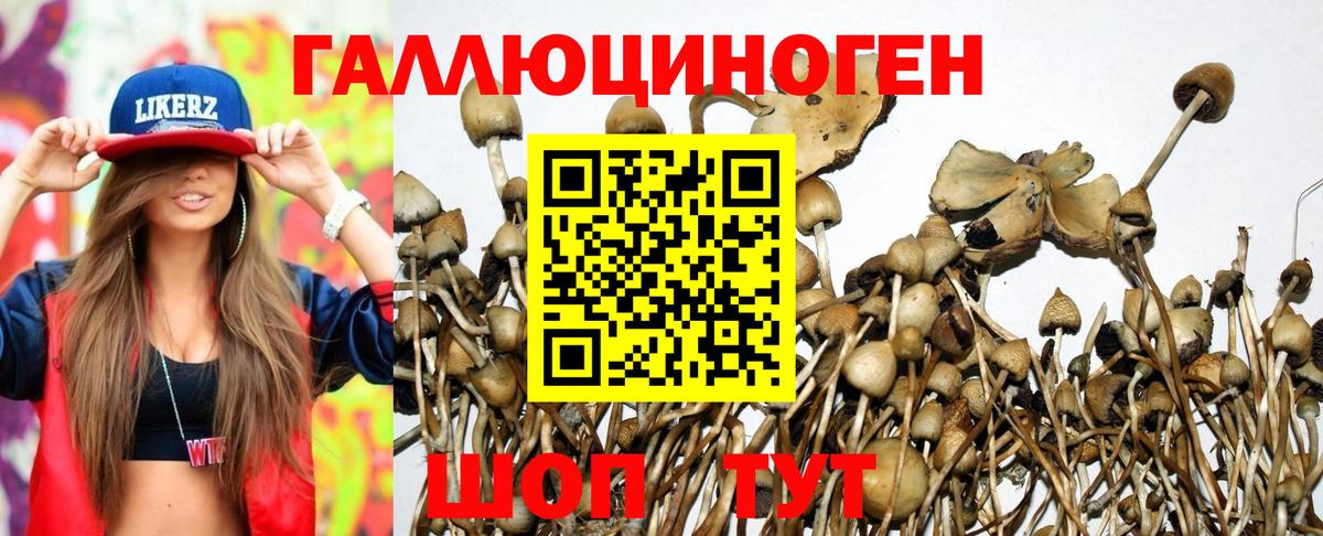 Галлюциногенные грибы GOLDEN TEACHER  купить наркоту  Выкса  Вход с VPN  Псилоцибиновые грибы MAGIC MUSHROOMS 